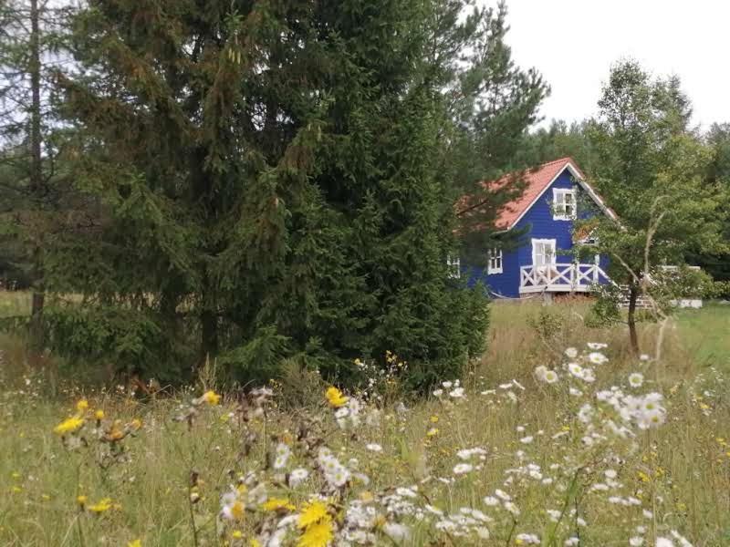 Swiety Spokoj Laka I Woda Pozezdrze Bagian luar foto