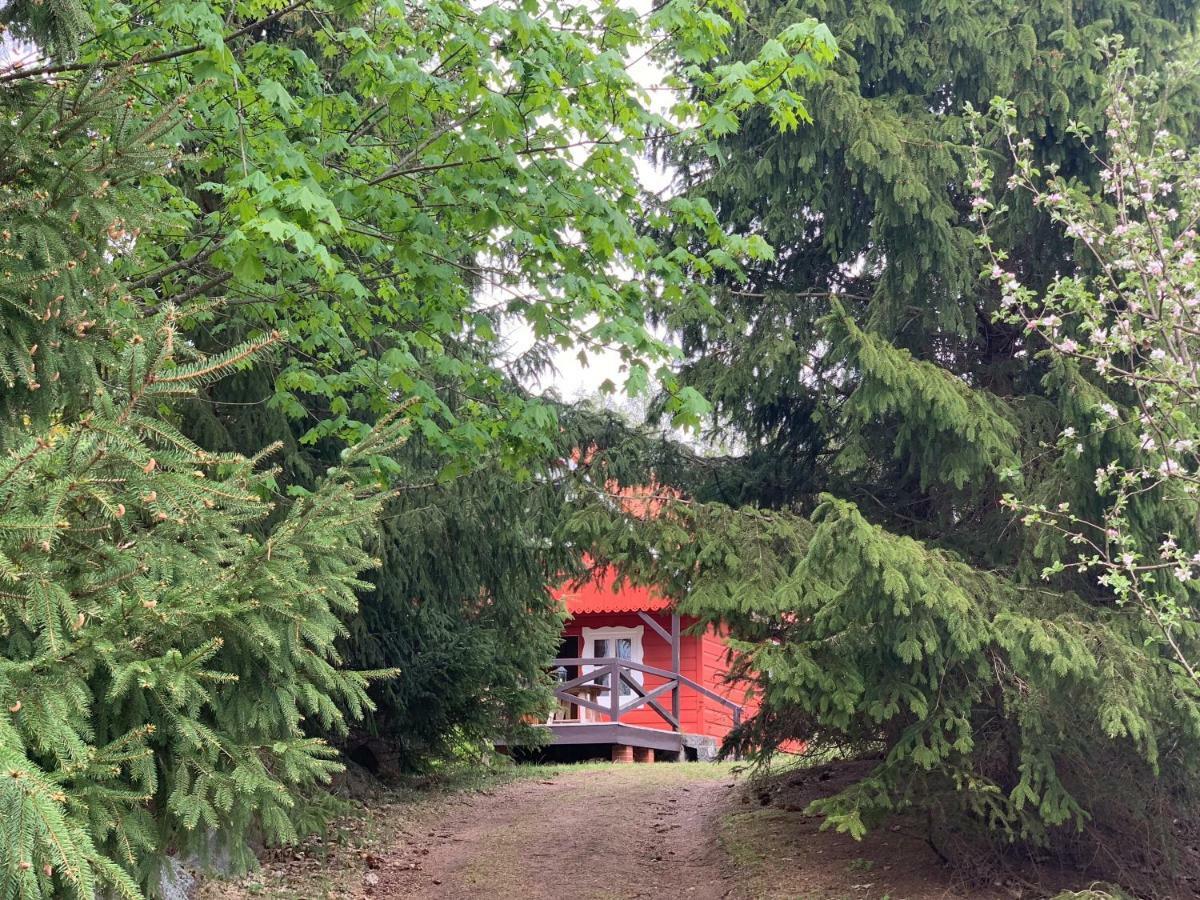 Swiety Spokoj Laka I Woda Pozezdrze Bagian luar foto