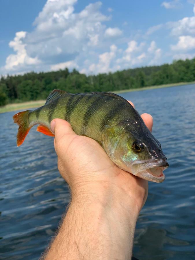 Swiety Spokoj Laka I Woda Pozezdrze Bagian luar foto