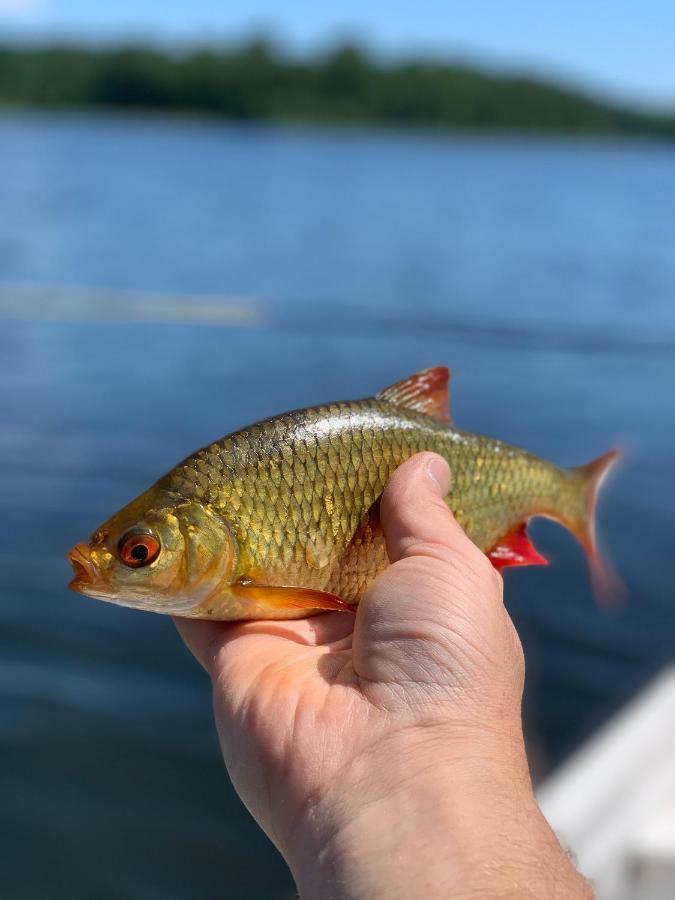 Swiety Spokoj Laka I Woda Pozezdrze Bagian luar foto